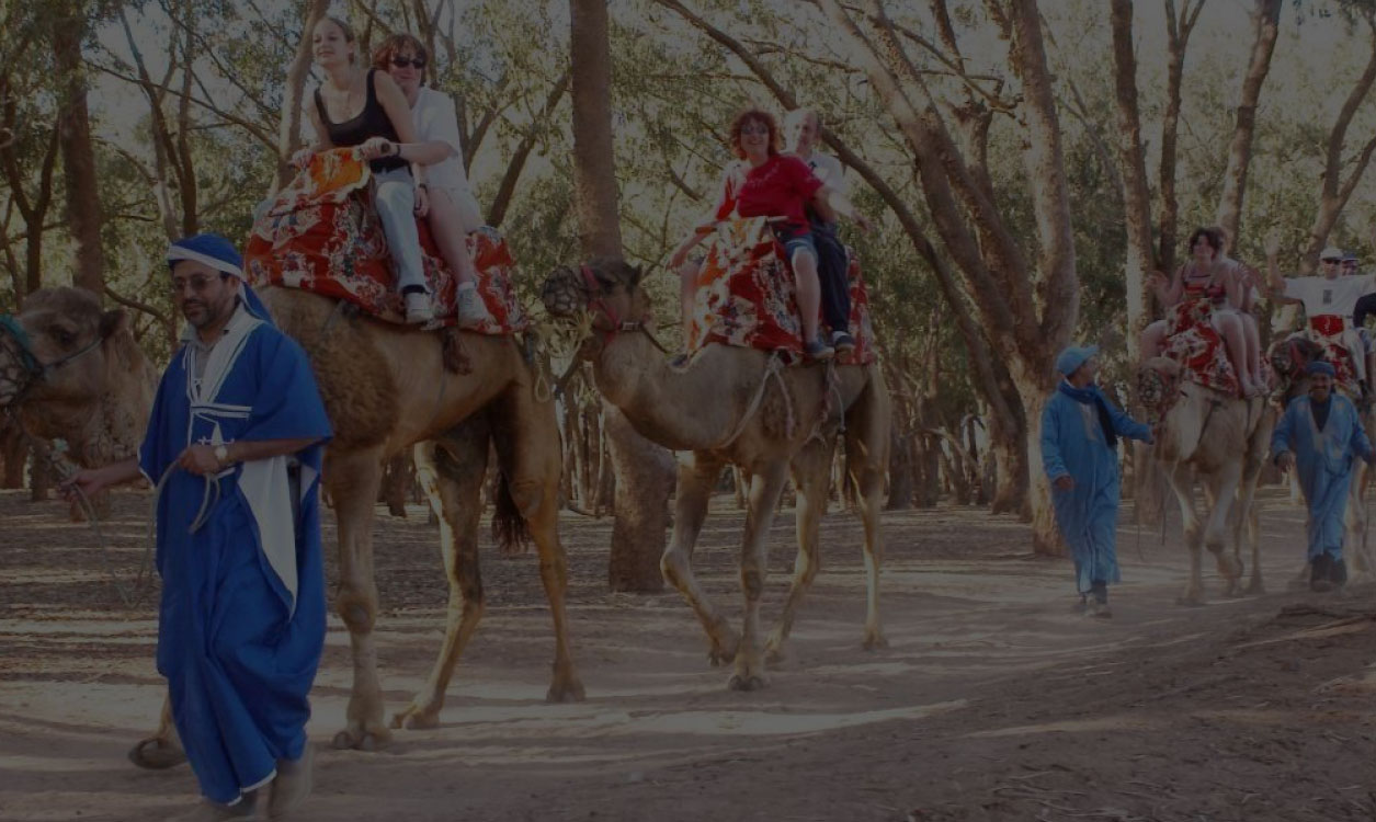Camel riding trip